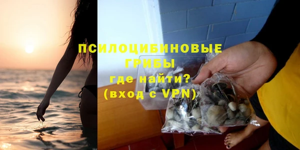гидра Заволжск