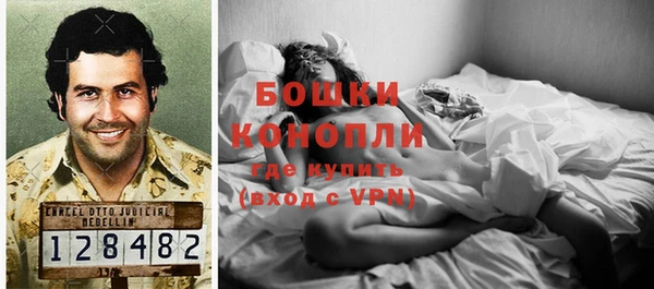 гидра Заволжск