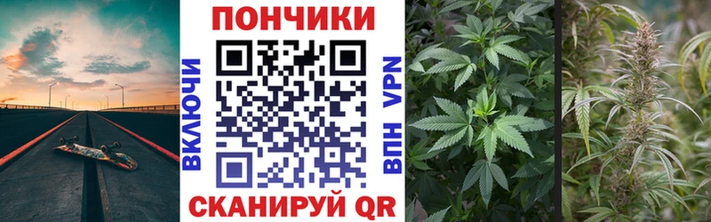 кракен   Новосокольники  Каннабис индика 